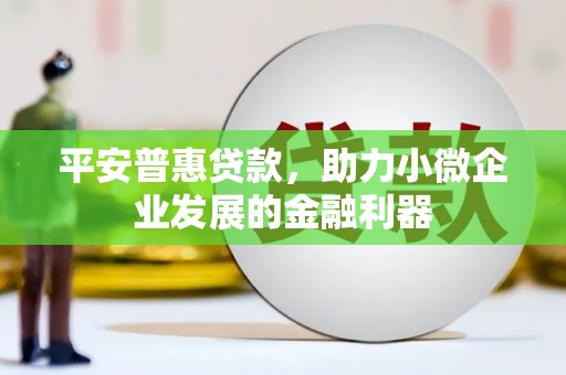 勐海平安普惠贷款，助力小微企业发展的金融利器