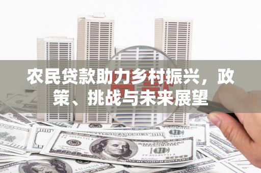 勐海农民贷款助力乡村振兴，政策、挑战与未来展望