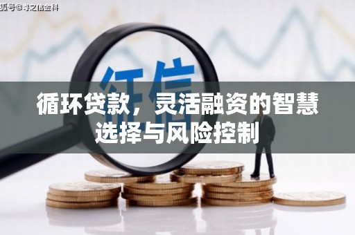 勐海循环贷款，灵活融资的智慧选择与风险控制