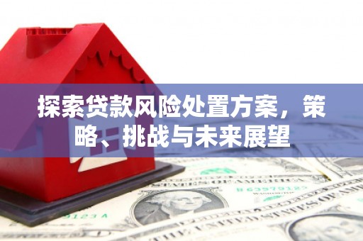 勐海探索贷款风险处置方案，策略、挑战与未来展望