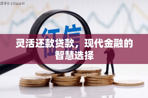 勐海灵活还款贷款，现代金融的智慧选择