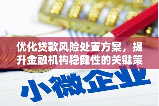 勐海优化贷款风险处置方案，提升金融机构稳健性的关键策略