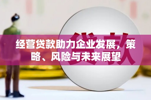 勐海经营贷款助力企业发展，策略、风险与未来展望