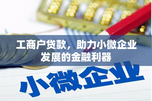 勐海工商户贷款，助力小微企业发展的金融利器