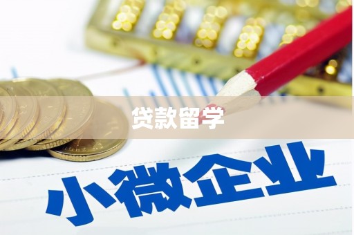 勐海贷款留学