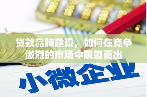 勐海贷款品牌建设，如何在竞争激烈的市场中脱颖而出