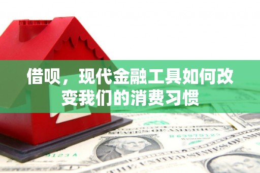 勐海借呗，现代金融工具如何改变我们的消费习惯