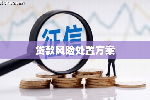 勐海贷款风险处置方案