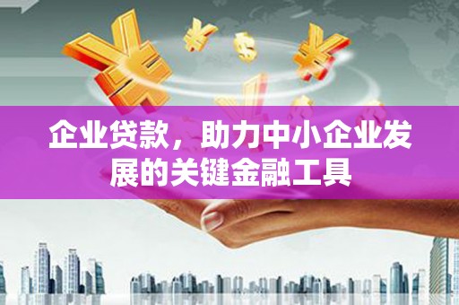 勐海企业贷款，助力中小企业发展的关键金融工具