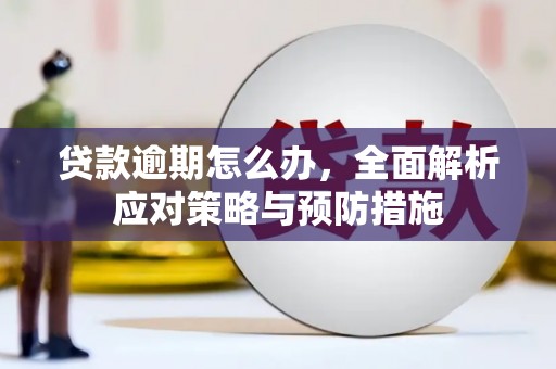 勐海贷款逾期怎么办，全面解析应对策略与预防措施