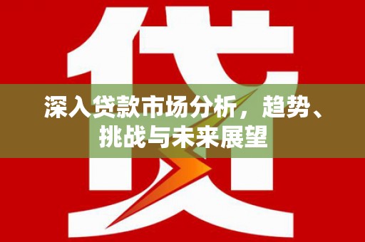 勐海深入贷款市场分析，趋势、挑战与未来展望