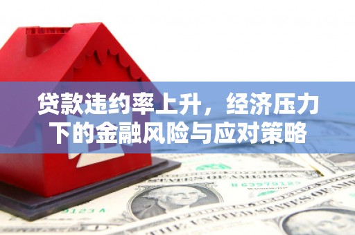 勐海贷款违约率上升，经济压力下的金融风险与应对策略