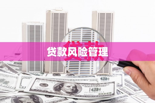 勐海贷款风险管理