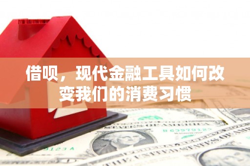 勐海借呗，现代金融工具如何改变我们的消费习惯