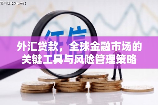 勐海外汇贷款，全球金融市场的关键工具与风险管理策略