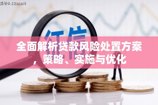 勐海全面解析贷款风险处置方案，策略、实施与优化