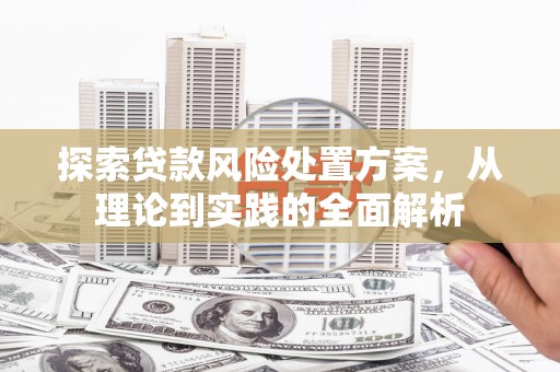 勐海探索贷款风险处置方案，从理论到实践的全面解析