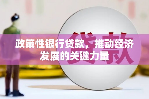 勐海政策性银行贷款，推动经济发展的关键力量