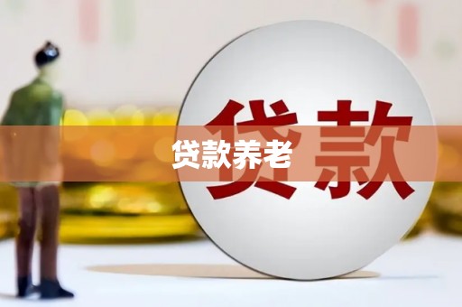 勐海贷款养老
