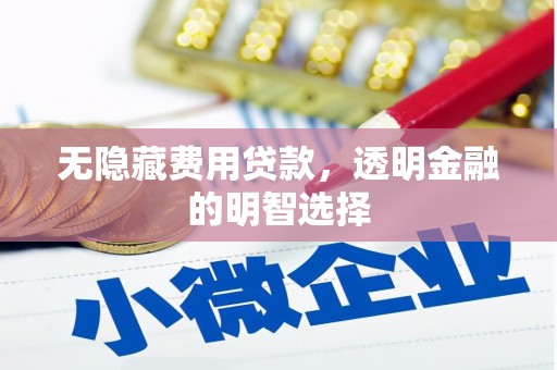 勐海无隐藏费用贷款，透明金融的明智选择