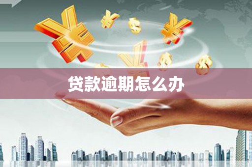 勐海贷款逾期怎么办