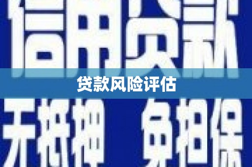 勐海贷款风险评估