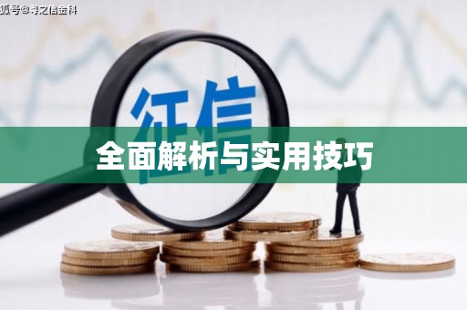勐海全面解析与实用技巧