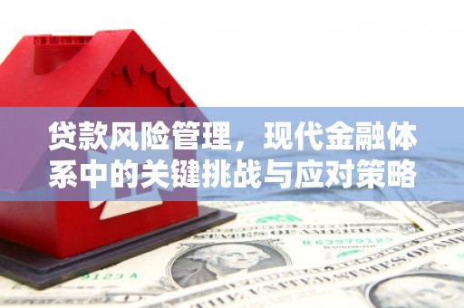 勐海贷款风险管理，现代金融体系中的关键挑战与应对策略