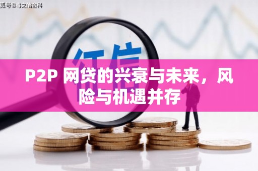勐海P2P 网贷的兴衰与未来，风险与机遇并存