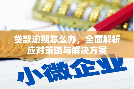 勐海贷款逾期怎么办，全面解析应对策略与解决方案