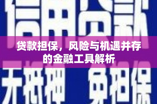 勐海贷款担保，风险与机遇并存的金融工具解析