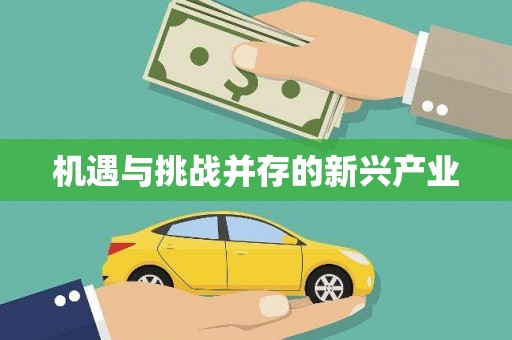 勐海机遇与挑战并存的新兴产业