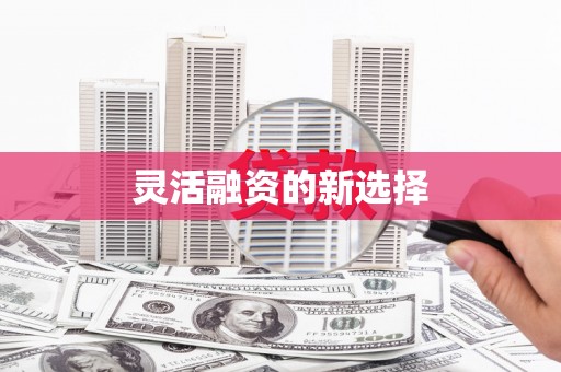 勐海灵活融资的新选择