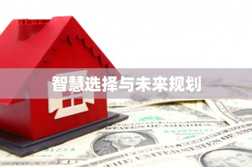 勐海智慧选择与未来规划