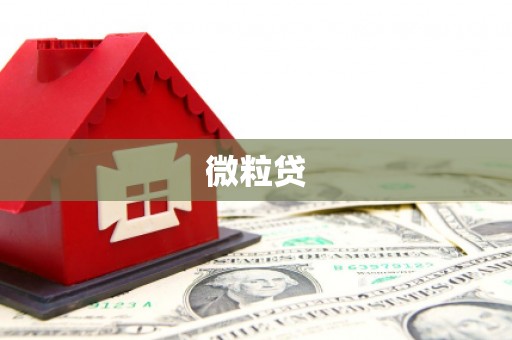 勐海微粒贷