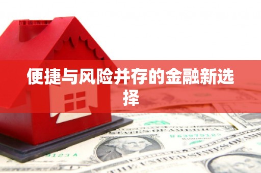 勐海便捷与风险并存的金融新选择