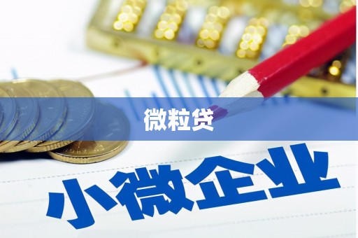 勐海微粒贷