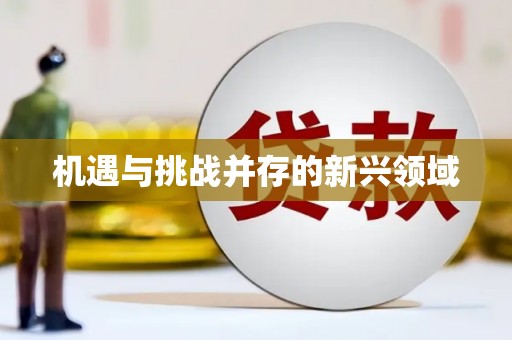 勐海机遇与挑战并存的新兴领域