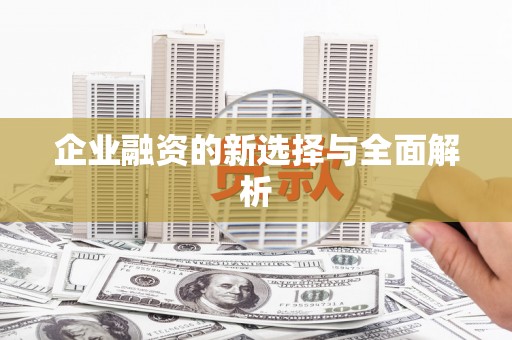 勐海企业融资的新选择与全面解析