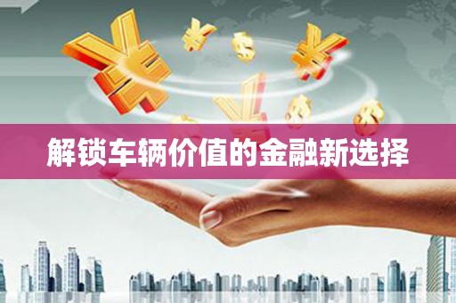 勐海解锁车辆价值的金融新选择