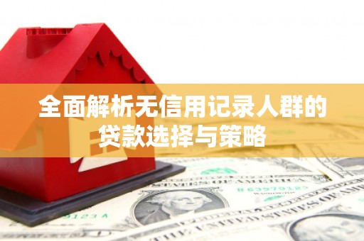 勐海全面解析无信用记录人群的贷款选择与策略