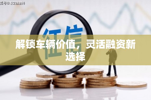 勐海解锁车辆价值，灵活融资新选择
