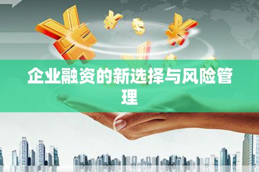 勐海企业融资的新选择与风险管理