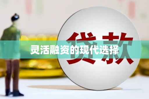 勐海灵活融资的现代选择