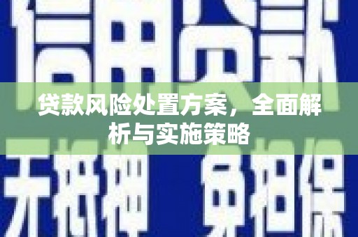 勐海贷款风险处置方案，全面解析与实施策略