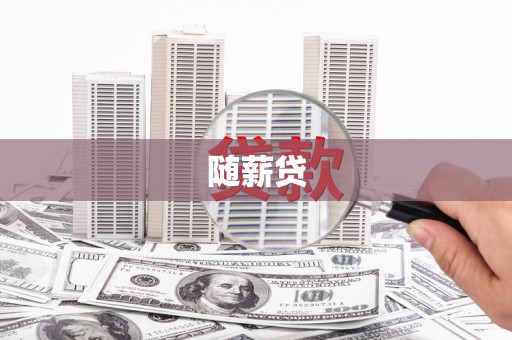 勐海随薪贷