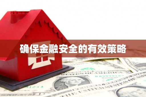 勐海确保金融安全的有效策略