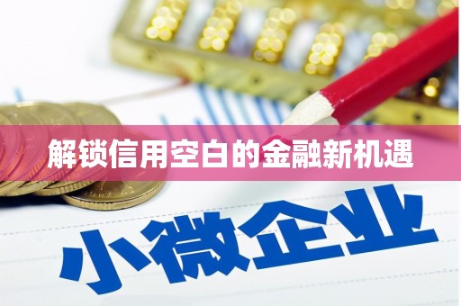 勐海解锁信用空白的金融新机遇