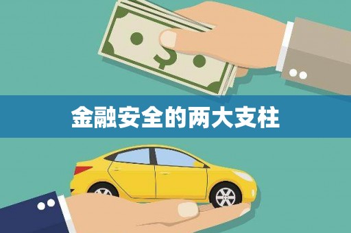 勐海金融安全的两大支柱