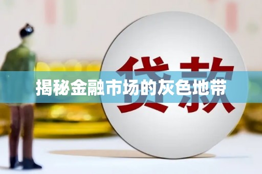 勐海揭秘金融市场的灰色地带